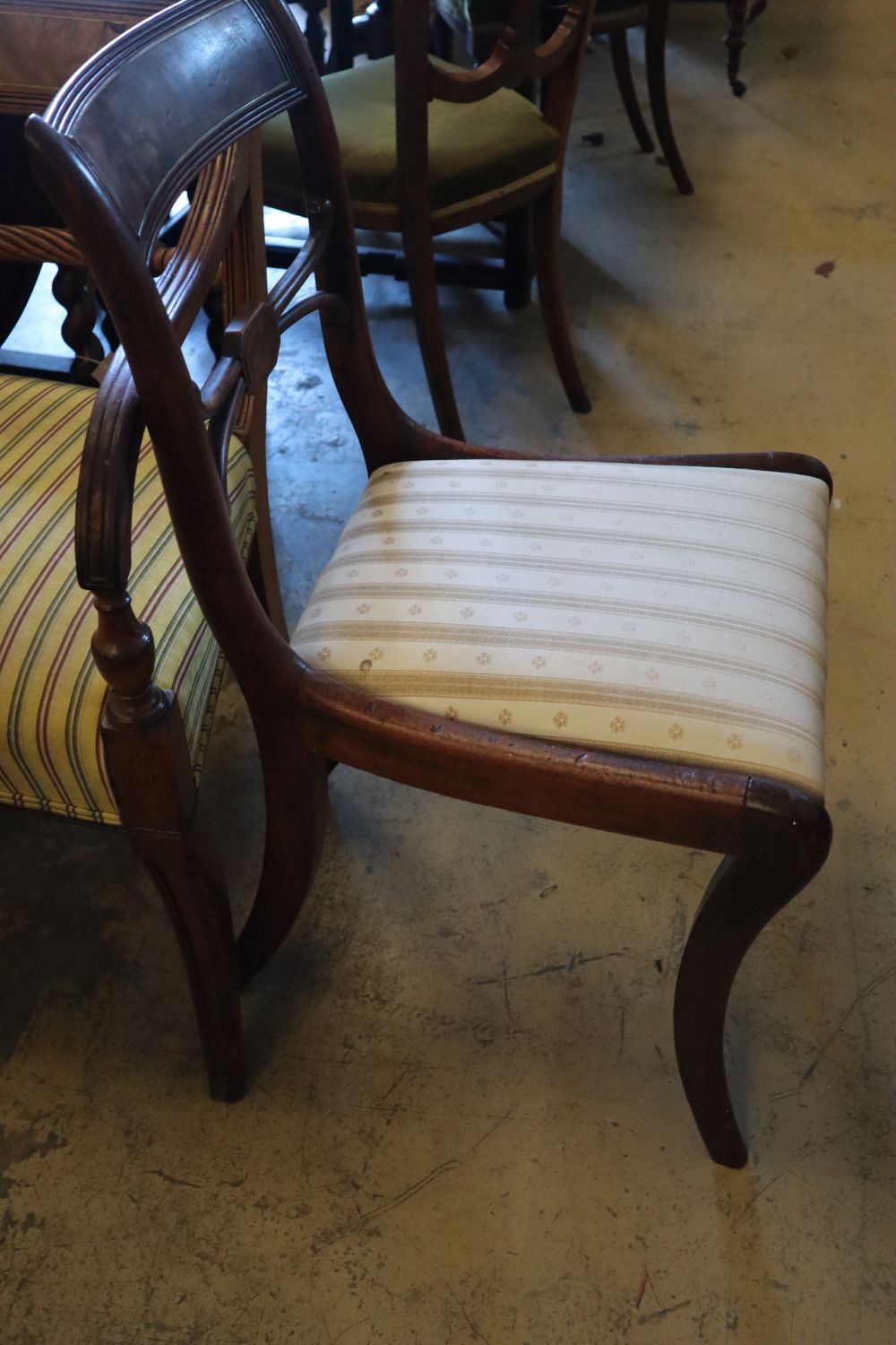 A Regency mahogany carver and a pair of dining chairs (3)